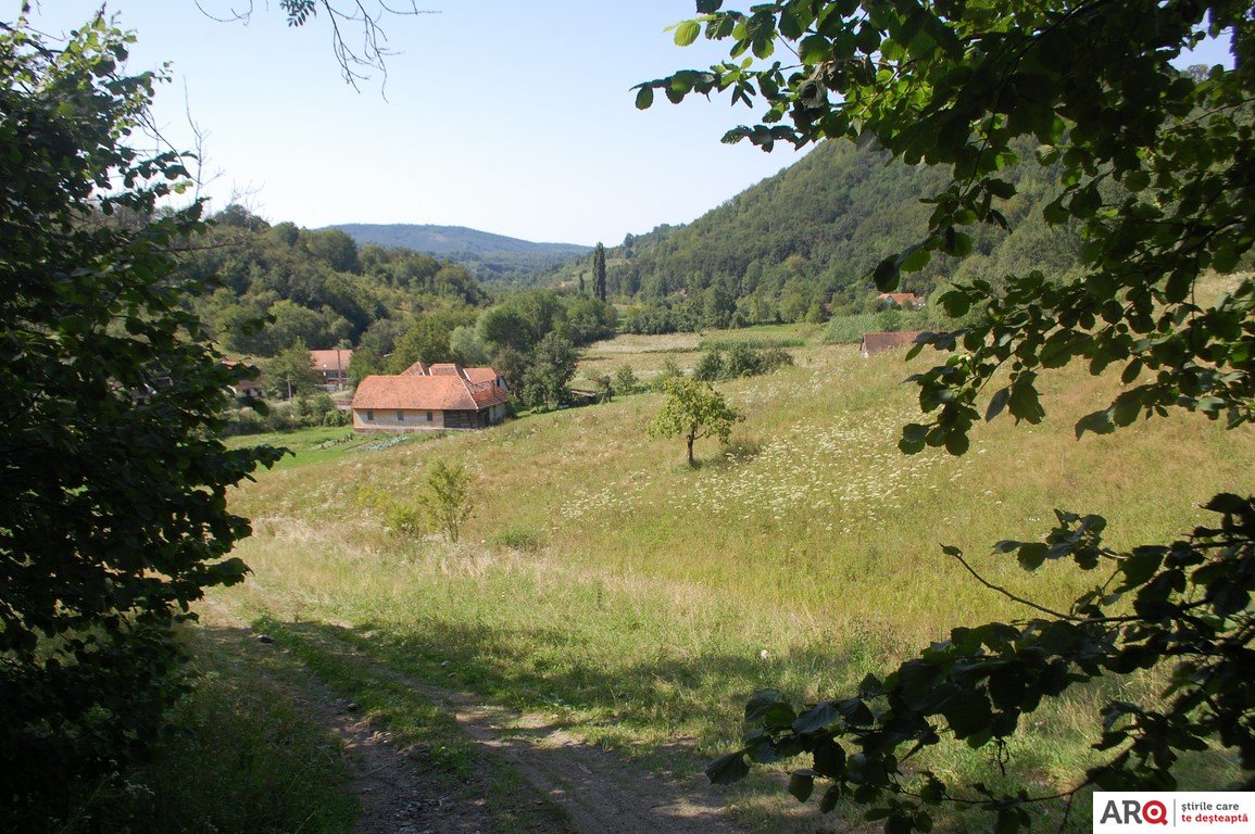 Ruga de la Păiușeni