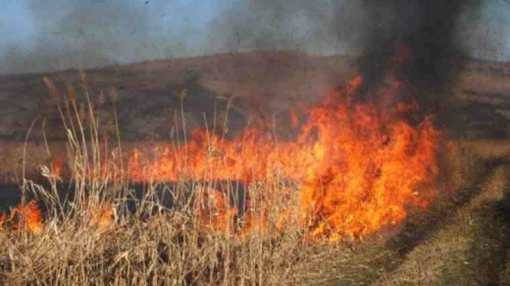 Incendiu puternic în Spania: 1400 de persoane au fost evacuate