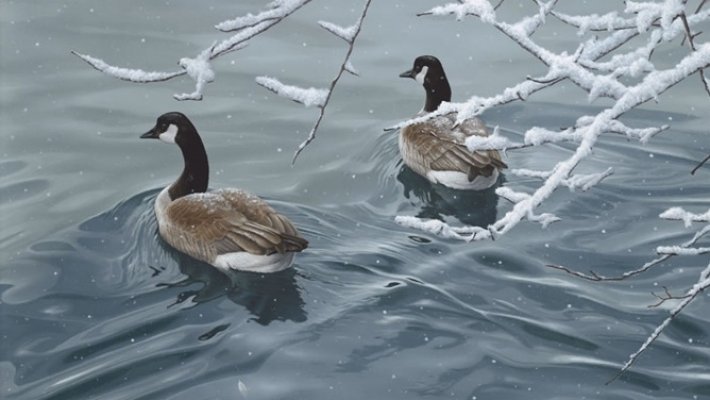 PROGNOZA METEO pe URMĂTOARELE TREI LUNI. Decembrie, prea cald pentru a avea zăpadă