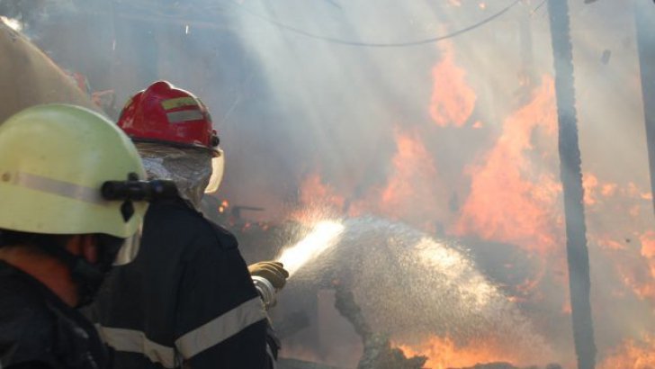 INCENDIU în Paradisul Verde a lui Țânțăreanu