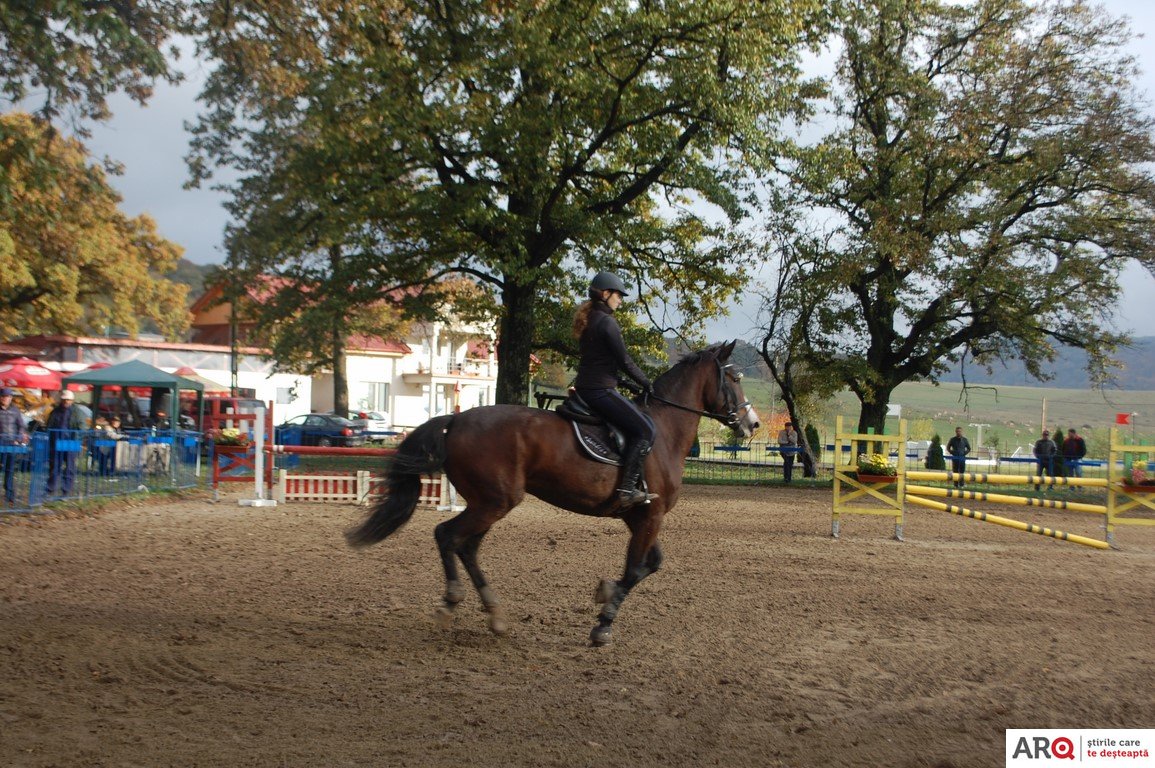 Cupa orașului Sebiș la călărie (ediția I)