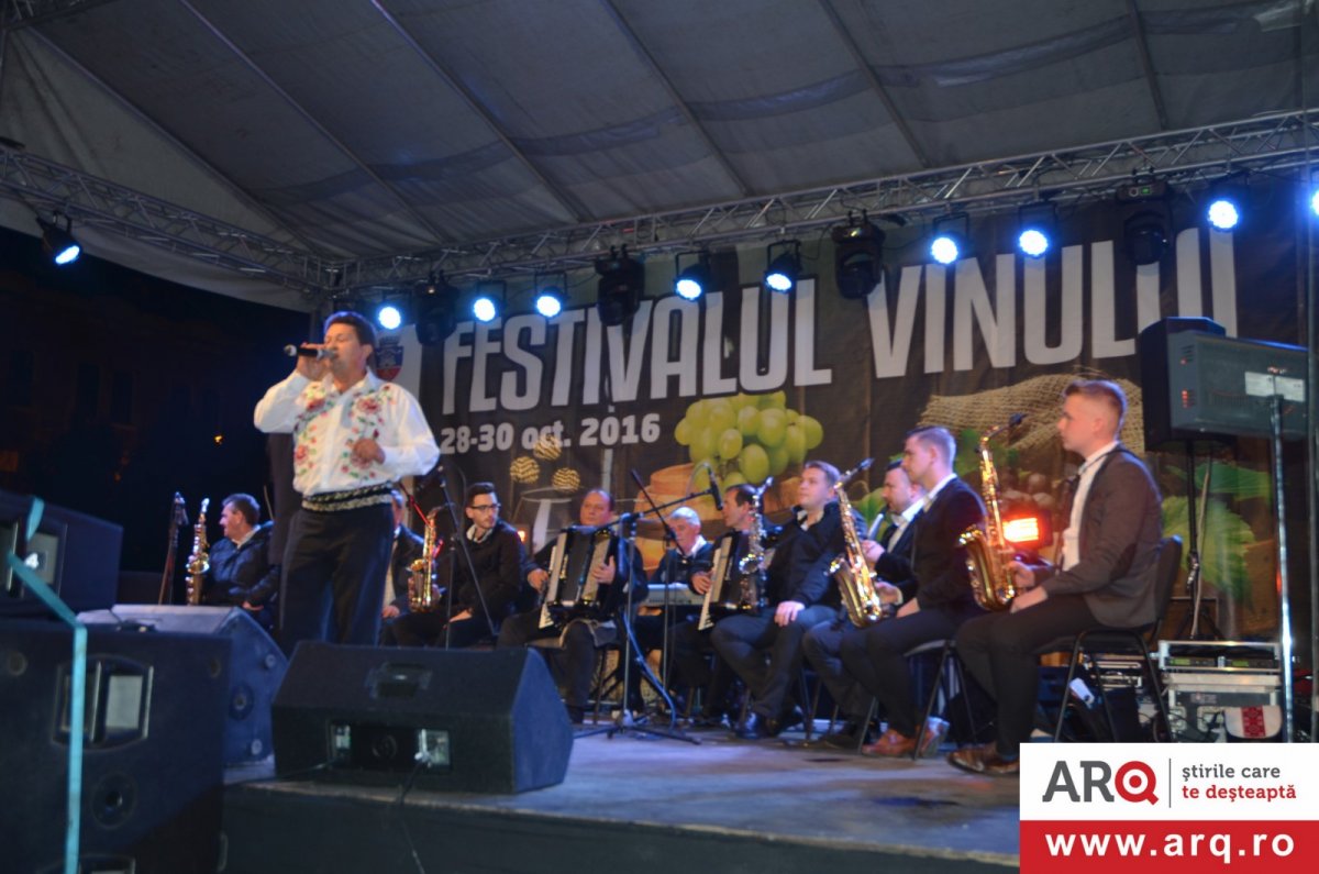 Festivalul vinului – Arad 2016